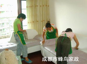 雙流保潔公司 專業清洗油煙機，守護廚房健康環境